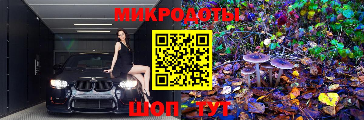 Галлюциногенные грибы ЛСД Чернушка